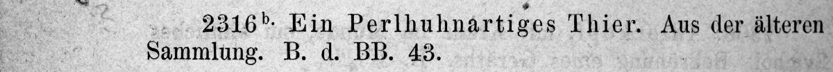 Perlhuhnartiges Tier
