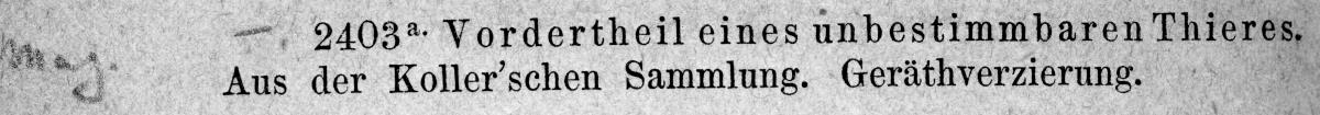 Vorderteil eines unbestimmbaren Tieres