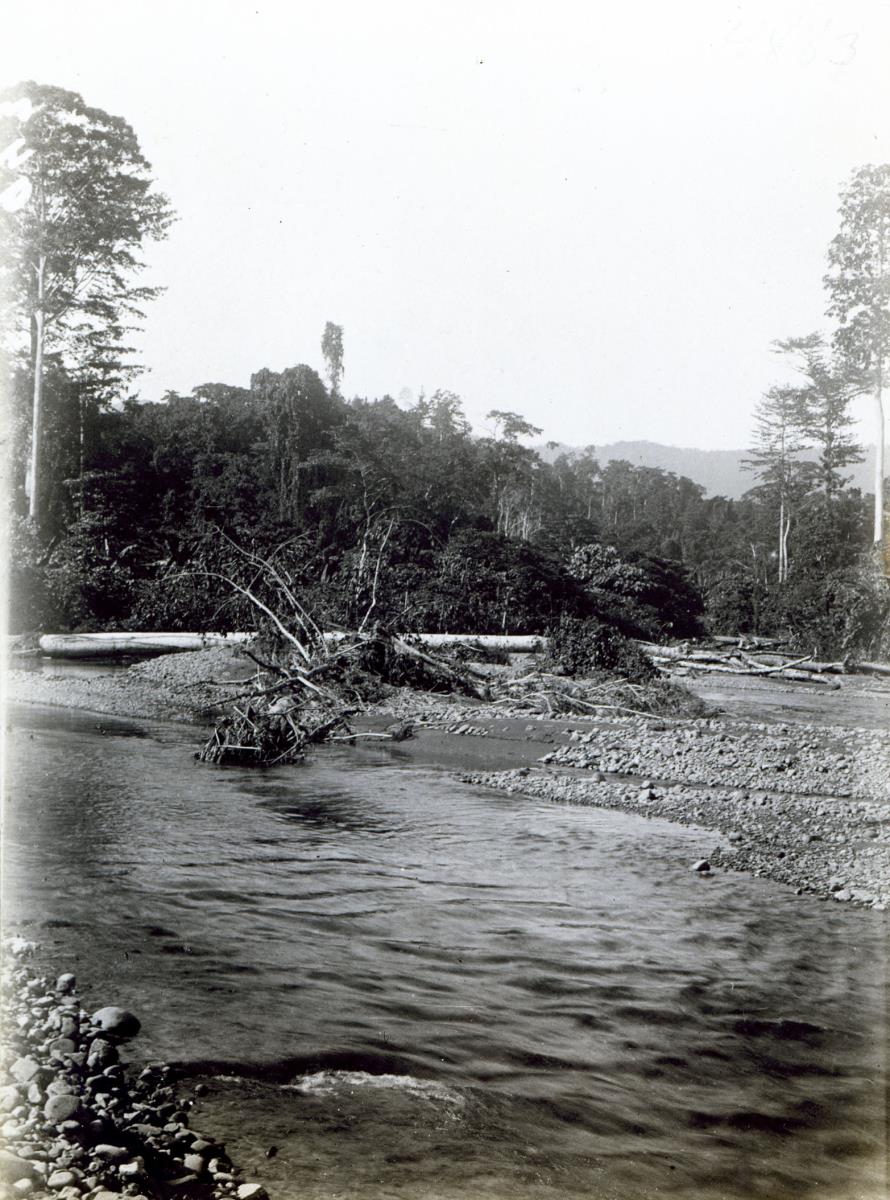 "Fluß in Koromira."
