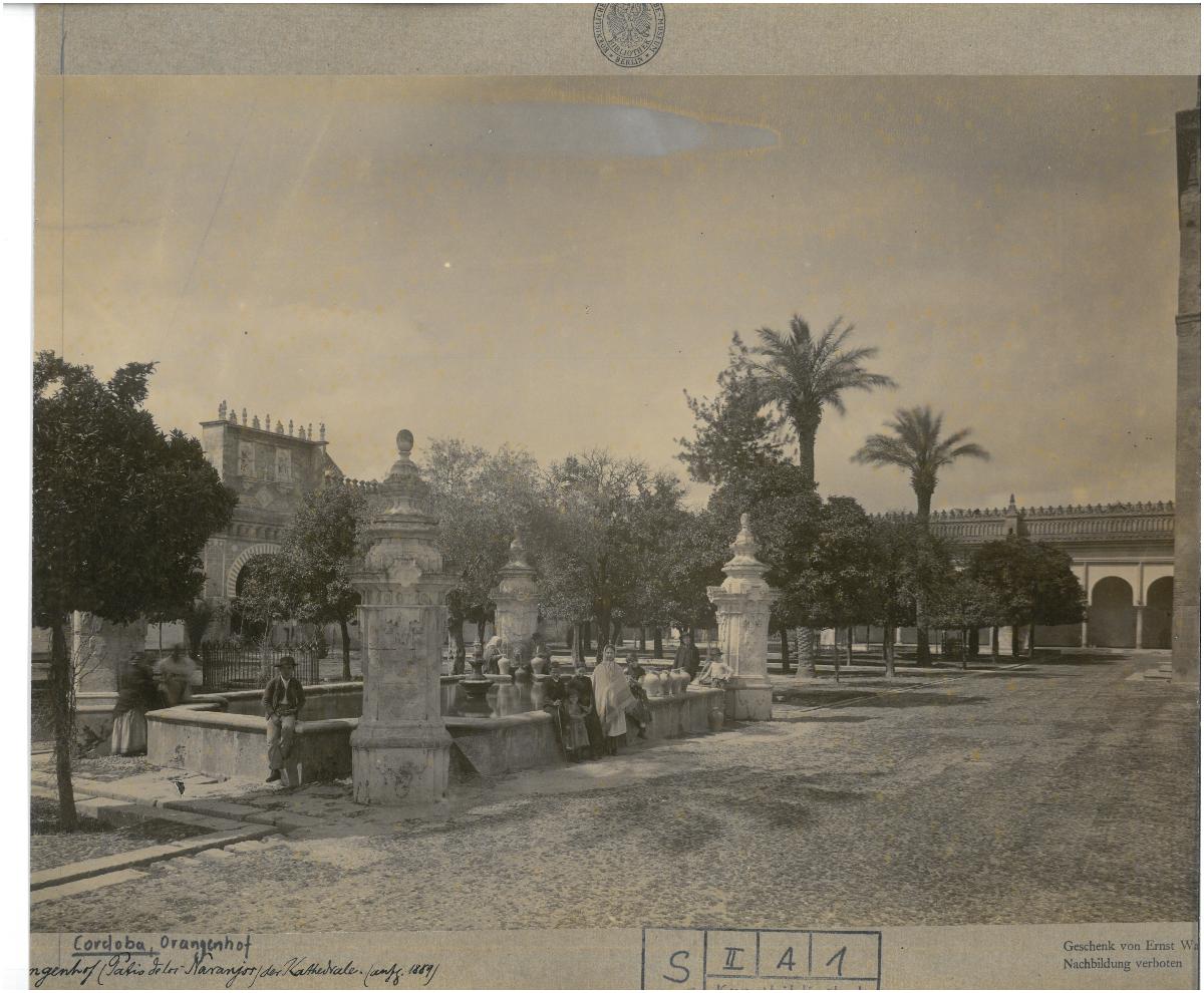 Córdoba, Kathedrale, Orangenhof