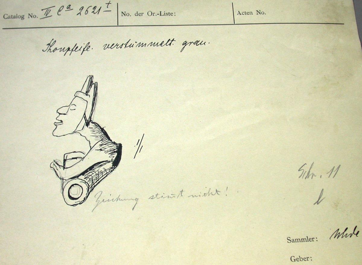 "Oberkörper mit Kopf"