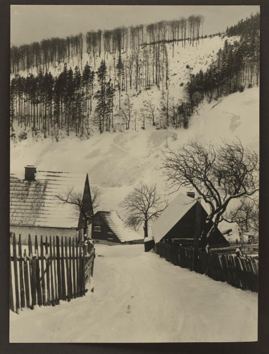 Schneelandschaft, Erzgebirge