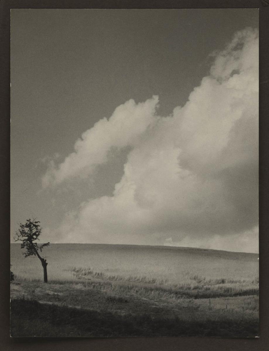 Landschaft mit Baum und Horizont