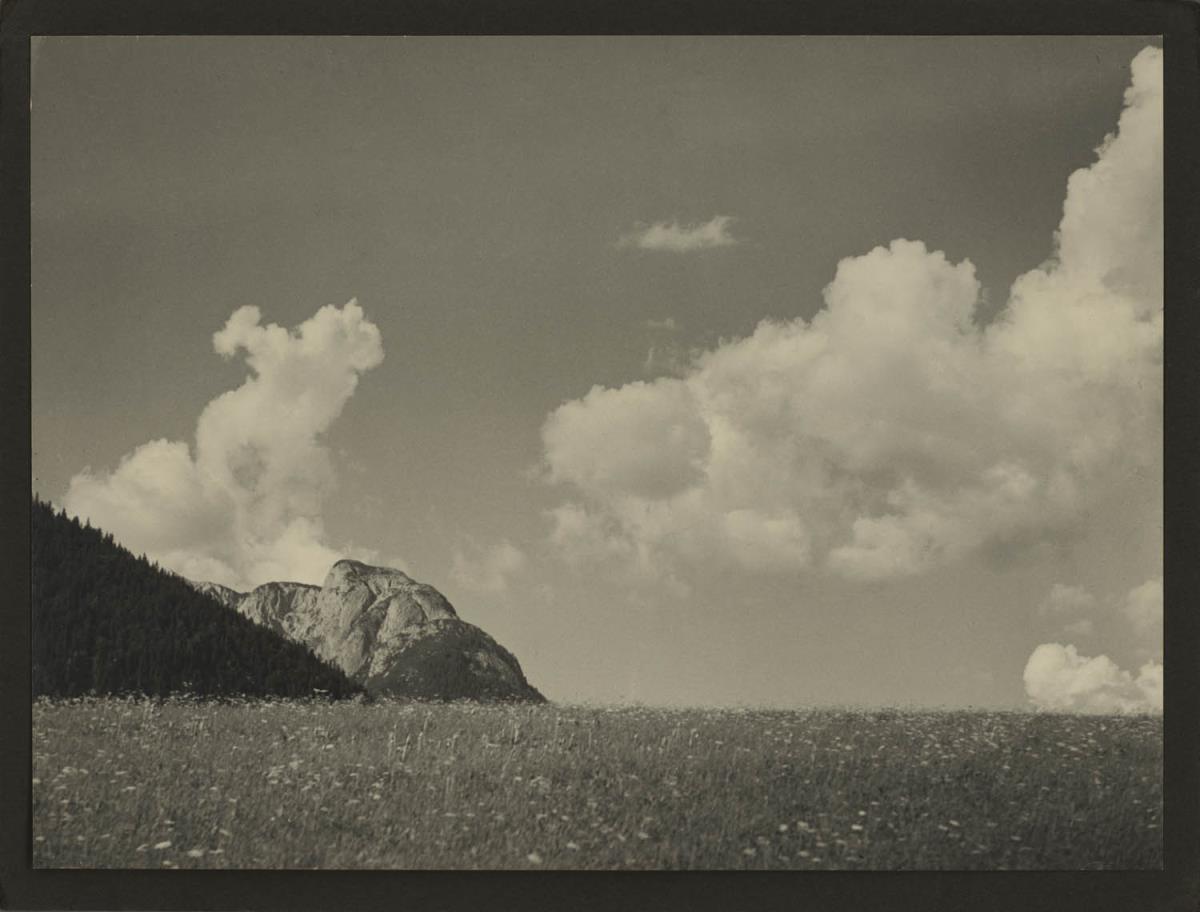 Bergwiese vor Himmel