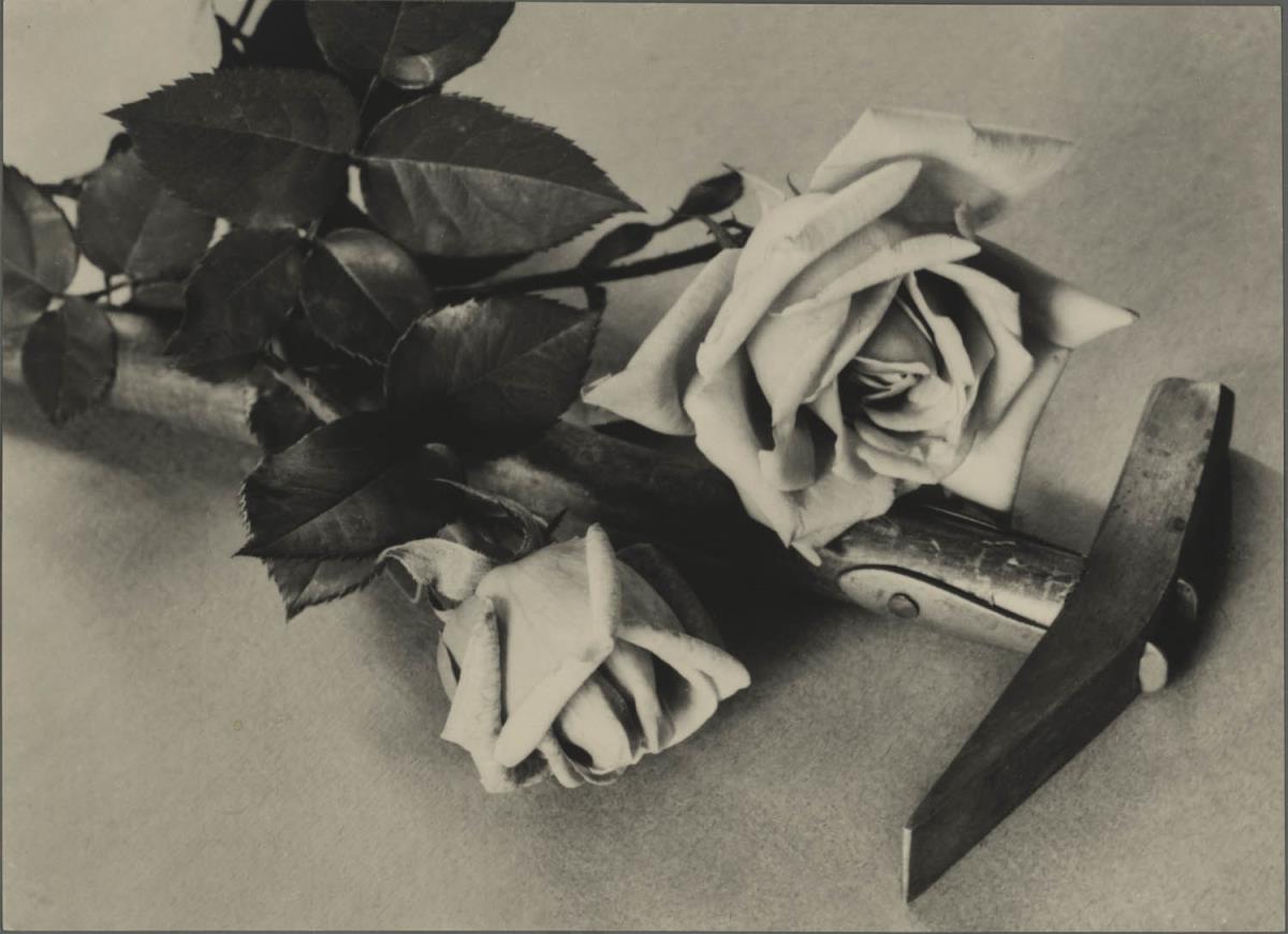 Stillleben mit Hammer und Rose