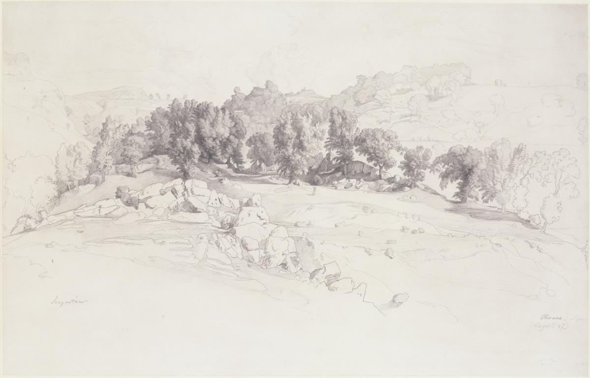 Felsige Wald- und Berglandschaft bei Olevano