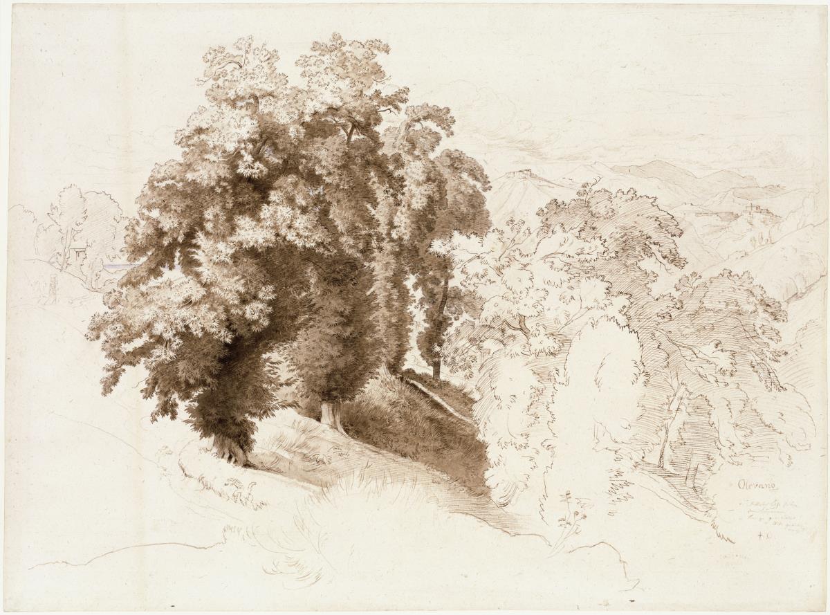 Gebirgslandschaft von Olevano, vorn Kastanienbäume