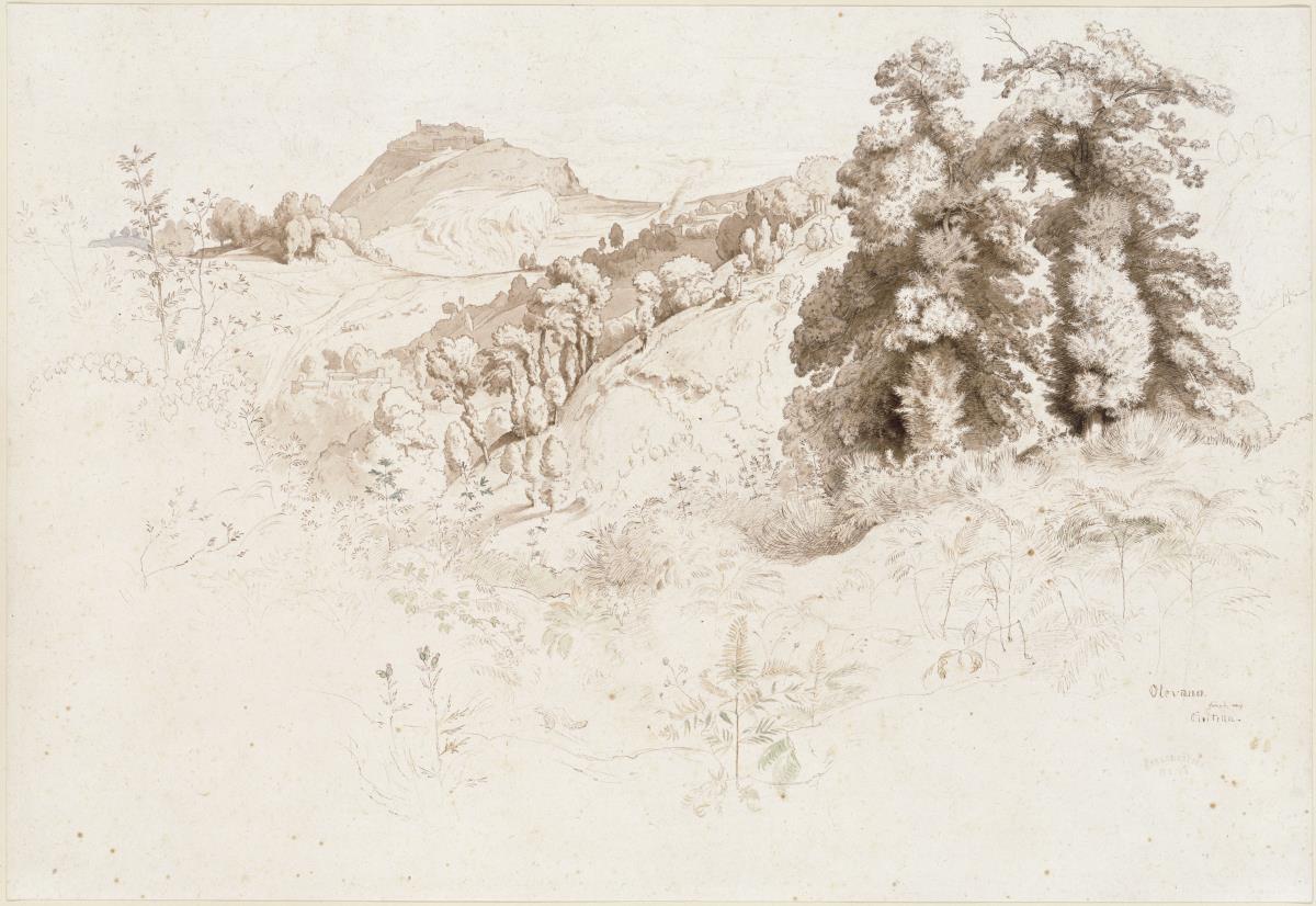 Berg- und Waldlandschaft zwischen Olevano und Civitella