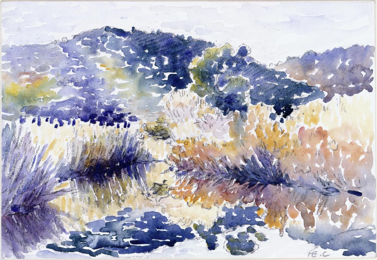 Teich im Gebüsch
