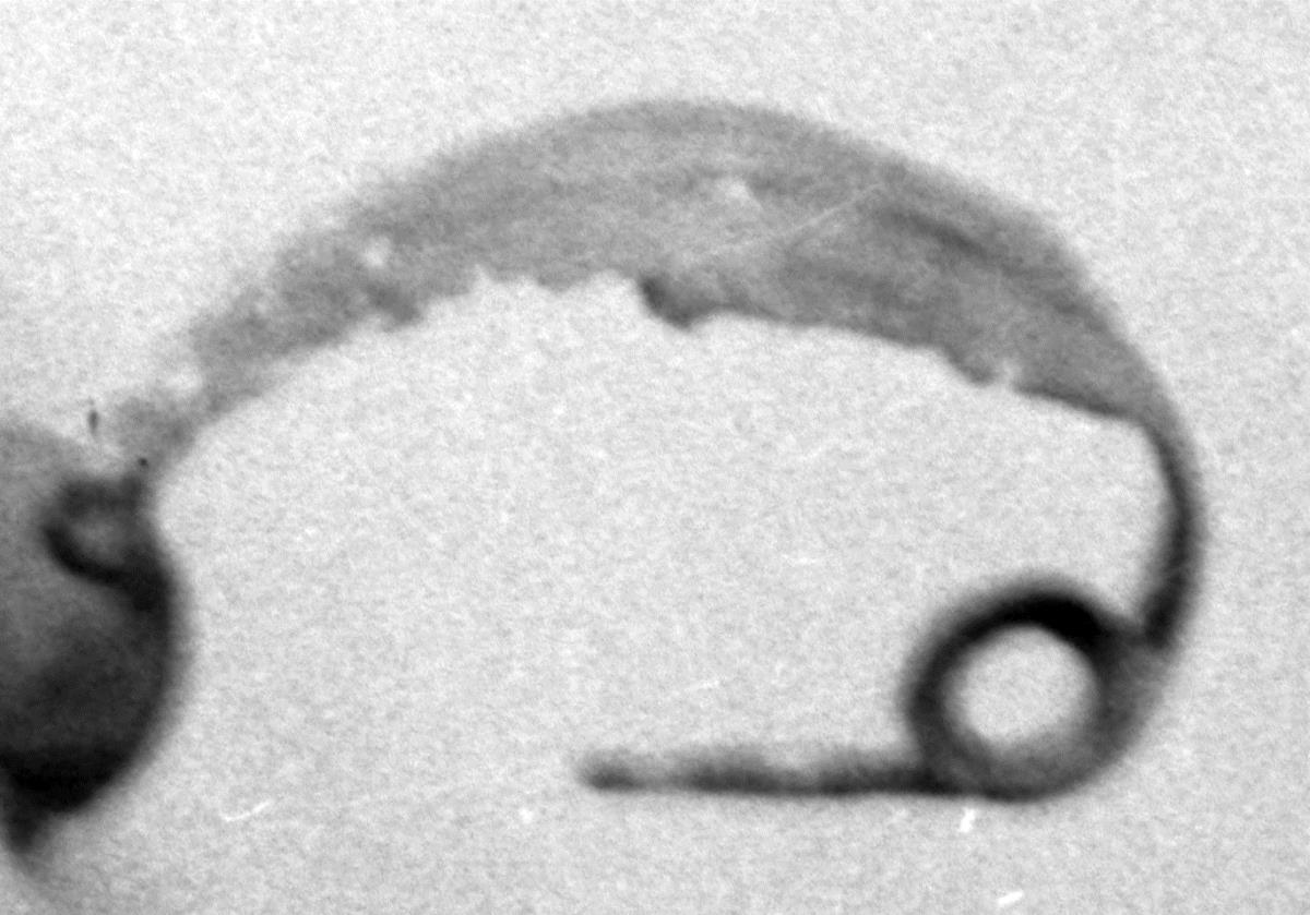 Fibel mit breitem Bügel aus dünnem Blech, der in der Längsrichtung geriefelt ist. Nadel und Nadelhalter fehlen