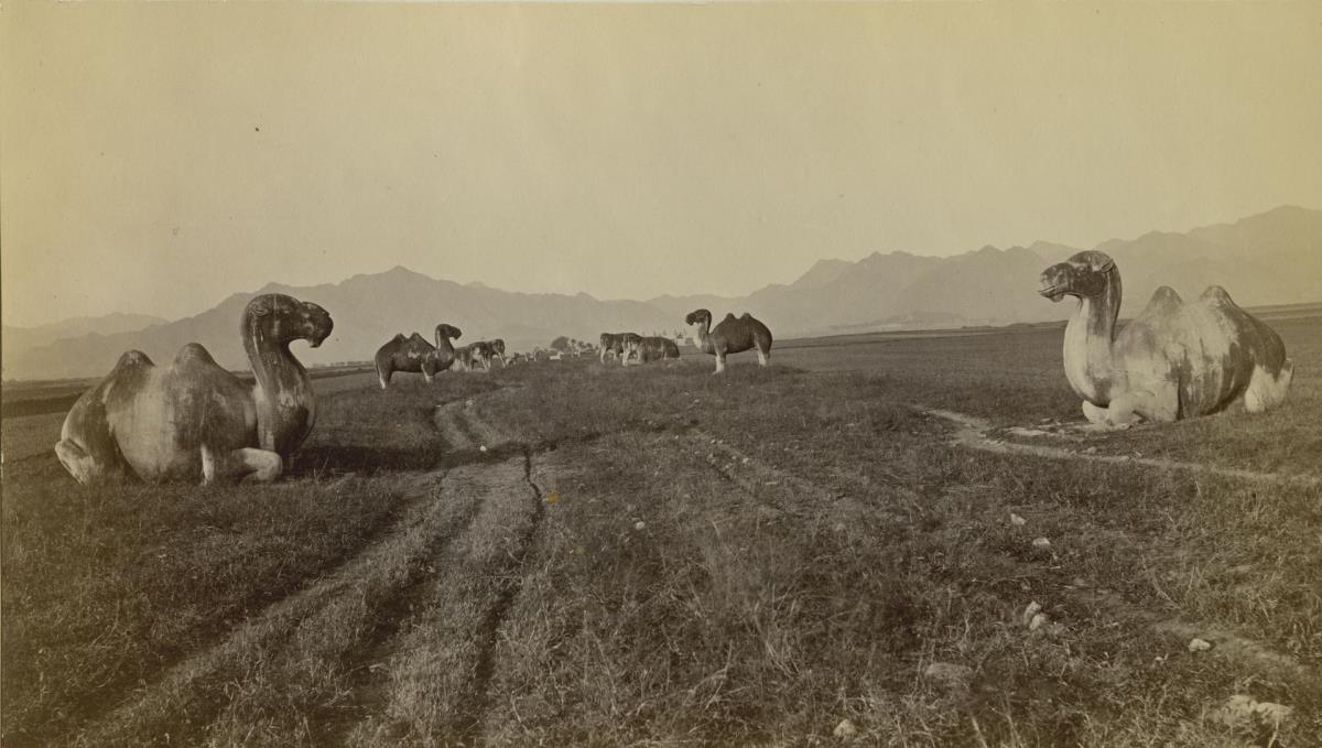 Weg zu den Ming Gräbern bei Nanking