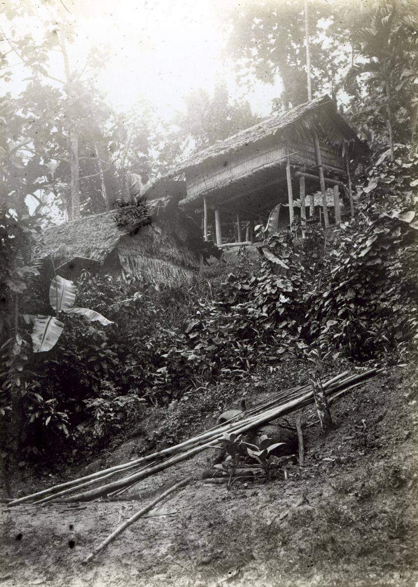 "Pfahlhaus."