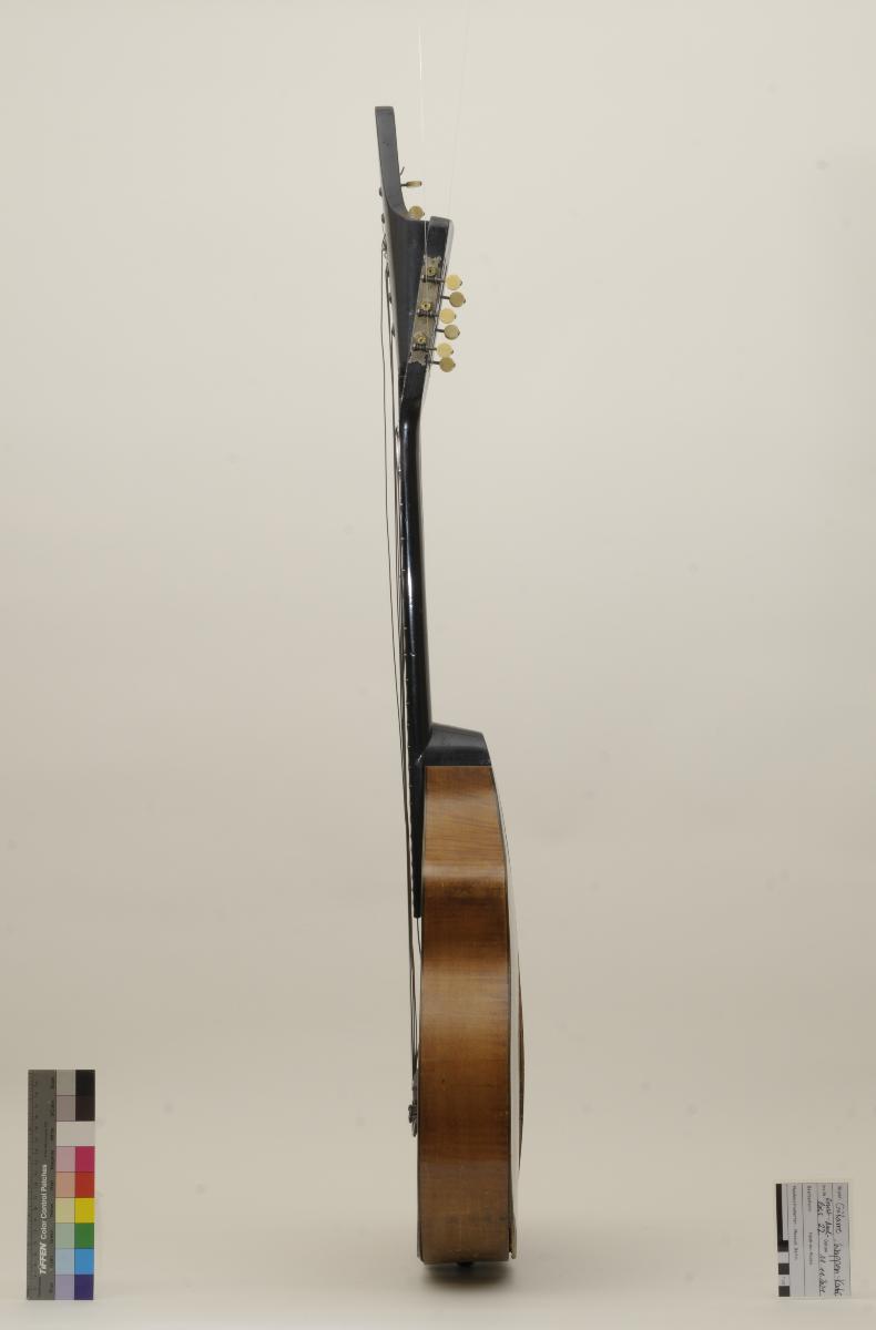 Wappen-Bass-Gitarre