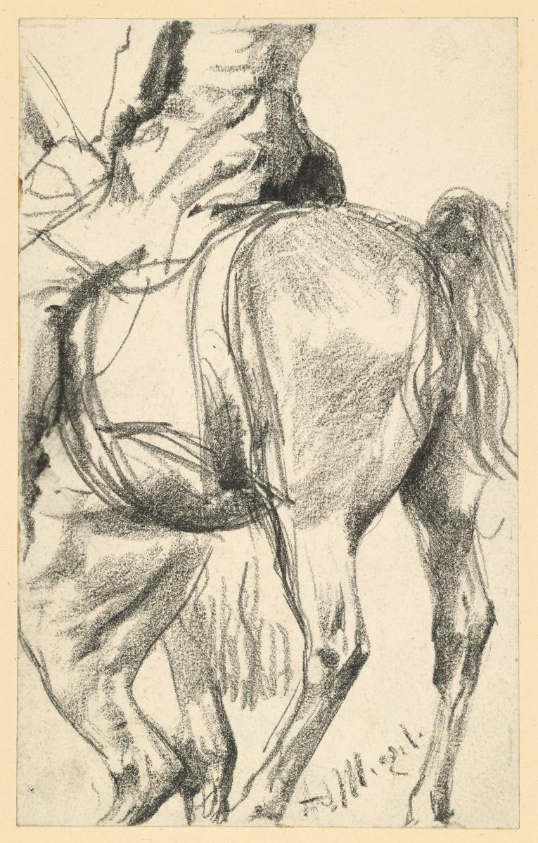 Pferd mit Reiter