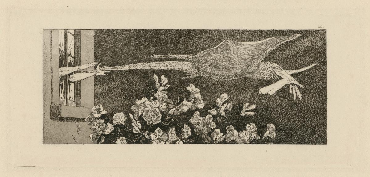 Ein Handschuh - Blatt 9: Die Entführung