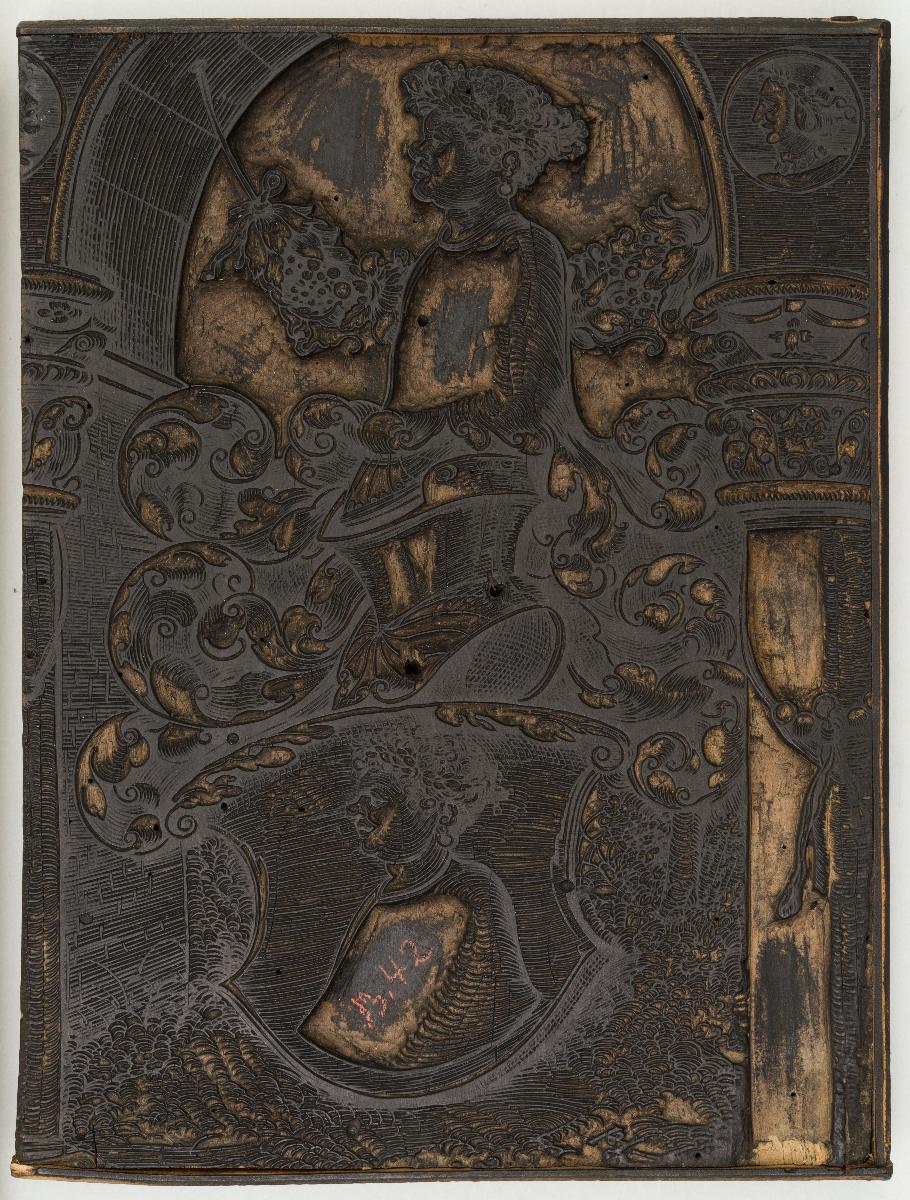 Wappen des Hartmann Schedel