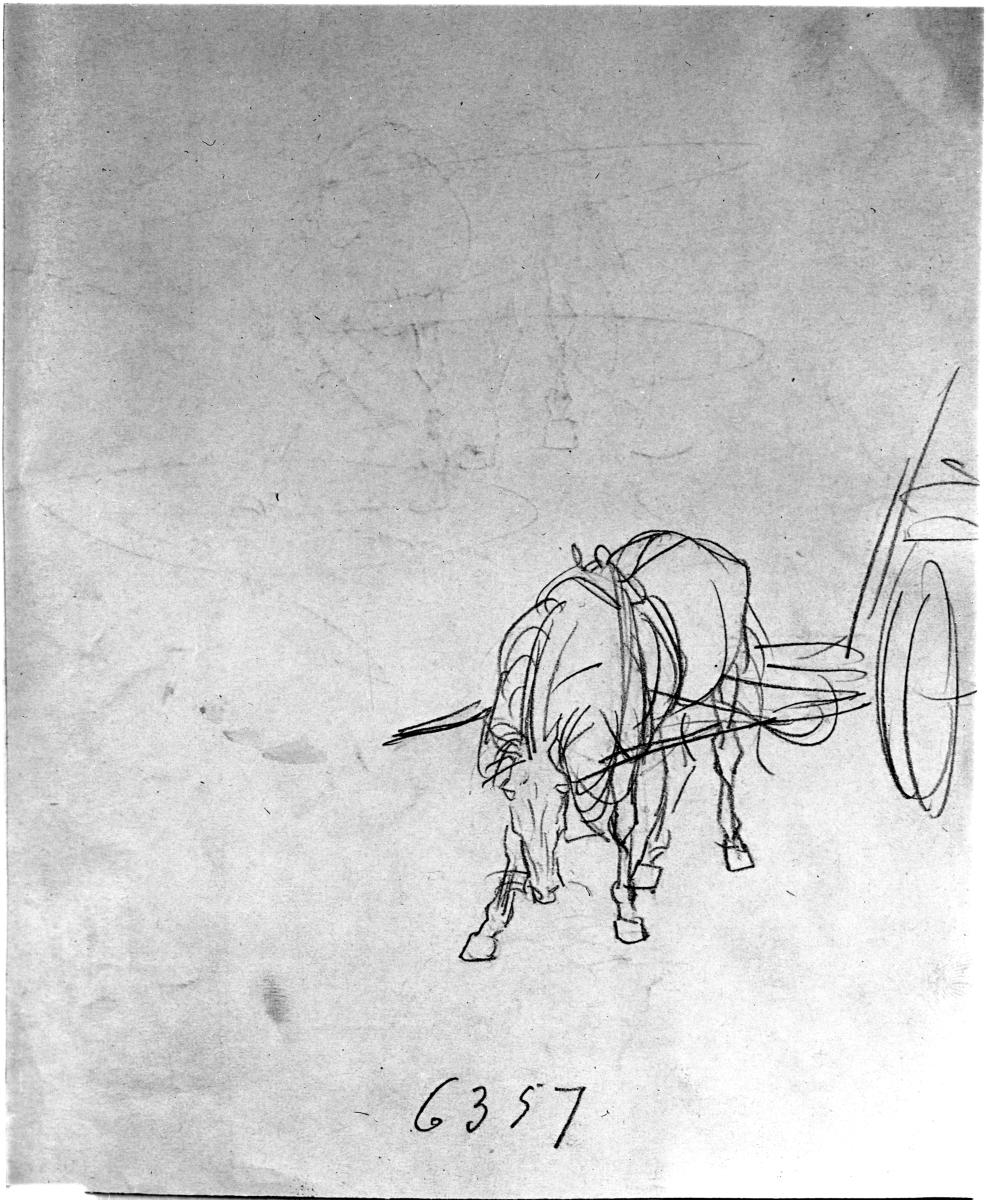 Pferd im Scherbaum
