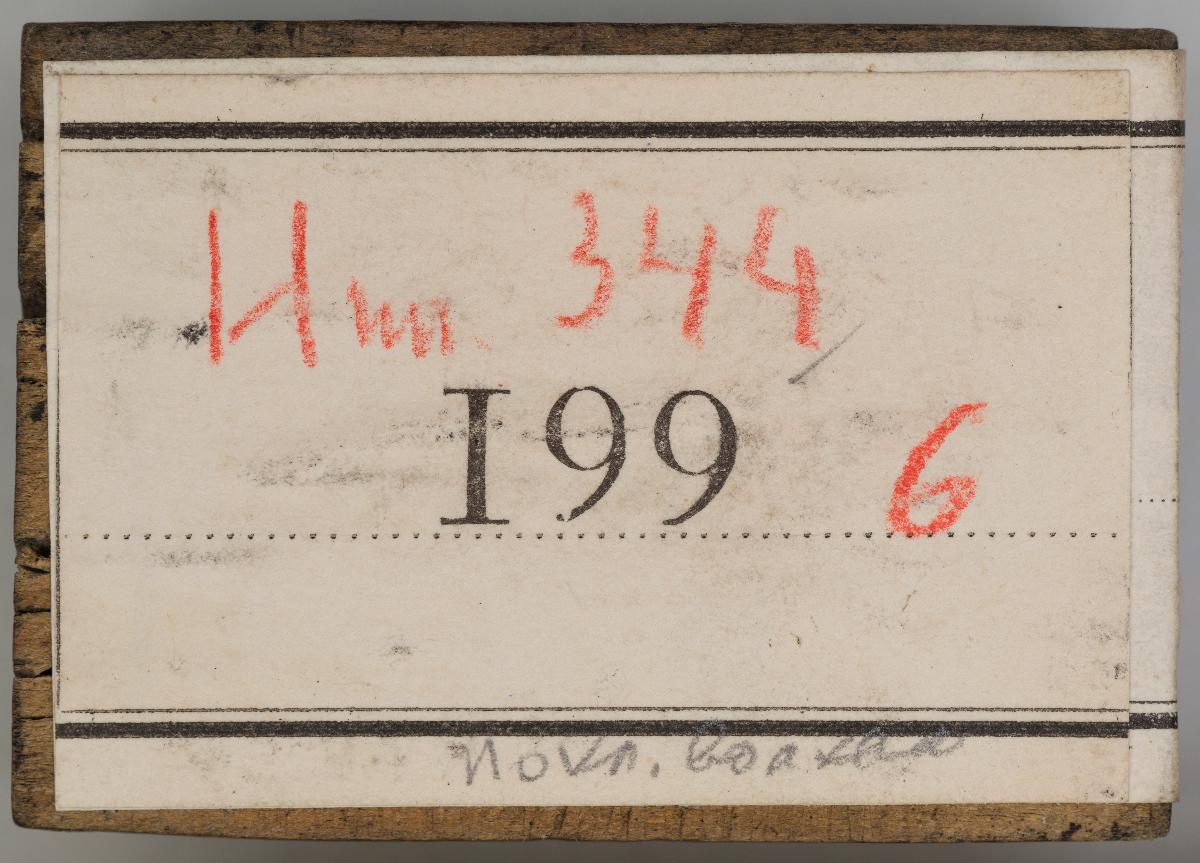 Heiligenbilder. Beschneidung / Geburt / Heimsuchung / Verkündigung / ? / ? / ? / ? / Papst Clemens / Fabian und hl. Sebastian / hl. Laurentius / Steinigung Stephan / Emerit /hl. Benedikt / hl Margarethe/hl Blasius?/hl Adalbert?/hl Martin/(Domrufer) / hl Valentin / ? / hl. Ambrosius / ? / ? / (24 Stöcke)