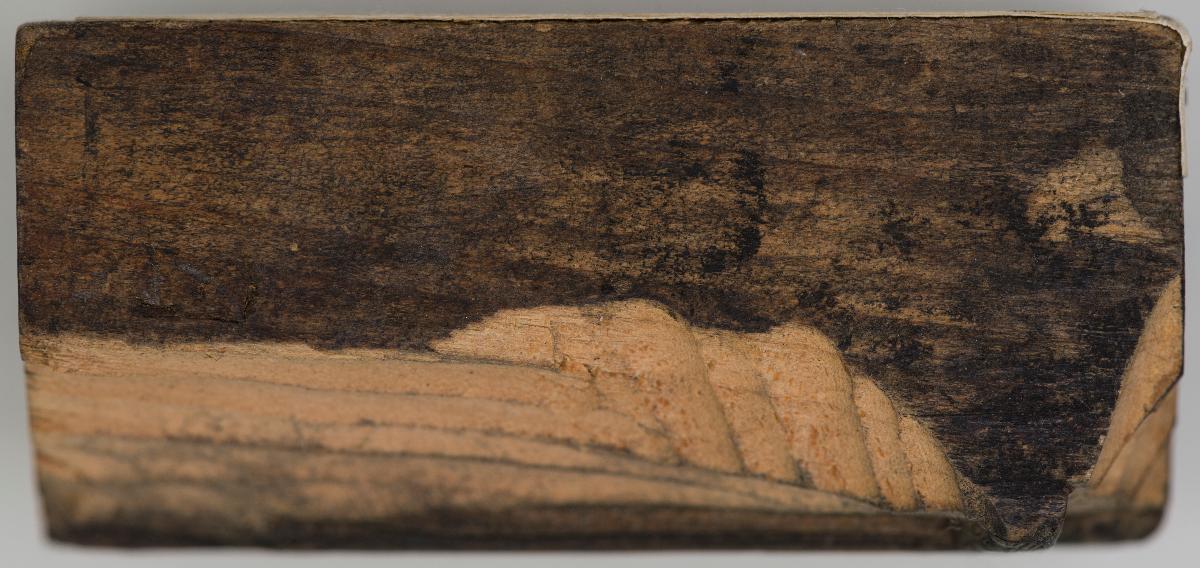 Heiligenbilder. Beschneidung / Geburt / Heimsuchung / Verkündigung / ? / ? / ? / ? / Papst Clemens / Fabian und hl. Sebastian / hl. Laurentius / Steinigung Stephan / Emerit /hl. Benedikt / hl Margarethe/hl Blasius?/hl Adalbert?/hl Martin/(Domrufer) / hl Valentin / ? / hl. Ambrosius / ? / ? / (24 Stöcke)