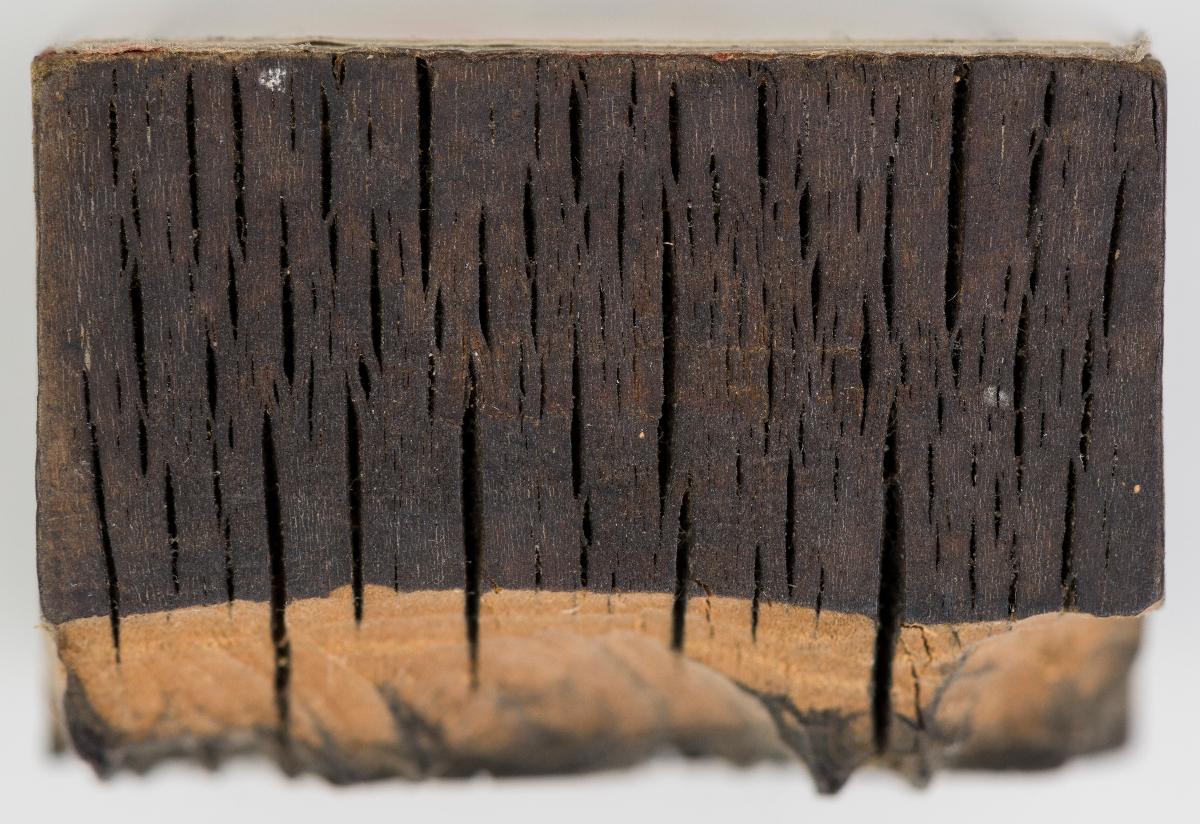 Heiligenbilder. Beschneidung / Geburt / Heimsuchung / Verkündigung / ? / ? / ? / ? / Papst Clemens / Fabian und hl. Sebastian / hl. Laurentius / Steinigung Stephan / Emerit /hl. Benedikt / hl Margarethe/hl Blasius?/hl Adalbert?/hl Martin/(Domrufer) / hl Valentin / ? / hl. Ambrosius / ? / ? / (24 Stöcke)