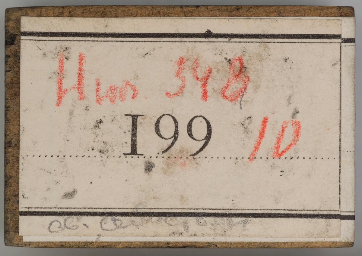 Heiligenbilder. Beschneidung / Geburt / Heimsuchung / Verkündigung / ? / ? / ? / ? / Papst Clemens / Fabian und hl. Sebastian / hl. Laurentius / Steinigung Stephan / Emerit /hl. Benedikt / hl Margarethe/hl Blasius?/hl Adalbert?/hl Martin/(Domrufer) / hl Valentin / ? / hl. Ambrosius / ? / ? / (24 Stöcke)