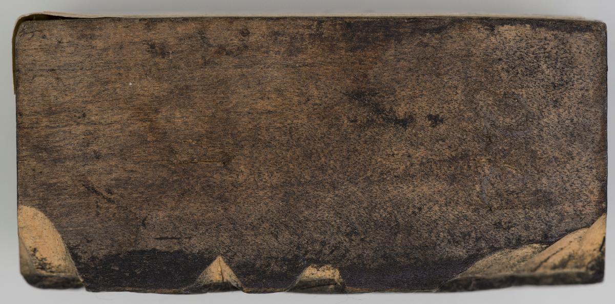 Heiligenbilder. Beschneidung / Geburt / Heimsuchung / Verkündigung / ? / ? / ? / ? / Papst Clemens / Fabian und hl. Sebastian / hl. Laurentius / Steinigung Stephan / Emerit /hl. Benedikt / hl Margarethe/hl Blasius?/hl Adalbert?/hl Martin/(Domrufer) / hl Valentin / ? / hl. Ambrosius / ? / ? / (24 Stöcke)