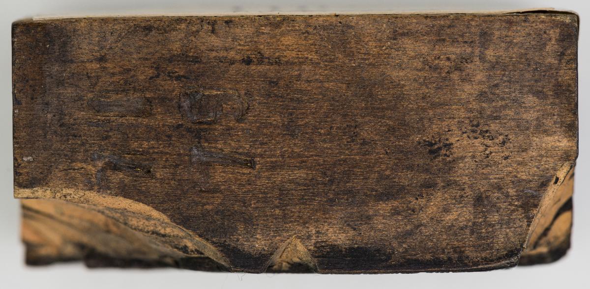 Heiligenbilder. Beschneidung / Geburt / Heimsuchung / Verkündigung / ? / ? / ? / ? / Papst Clemens / Fabian und hl. Sebastian / hl. Laurentius / Steinigung Stephan / Emerit /hl. Benedikt / hl Margarethe/hl Blasius?/hl Adalbert?/hl Martin/(Domrufer) / hl Valentin / ? / hl. Ambrosius / ? / ? / (24 Stöcke)
