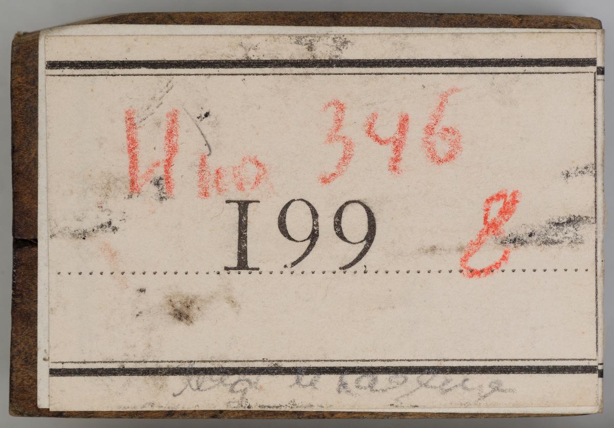 Heiligenbilder. Beschneidung / Geburt / Heimsuchung / Verkündigung / ? / ? / ? / ? / Papst Clemens / Fabian und hl. Sebastian / hl. Laurentius / Steinigung Stephan / Emerit /hl. Benedikt / hl Margarethe/hl Blasius?/hl Adalbert?/hl Martin/(Domrufer) / hl Valentin / ? / hl. Ambrosius / ? / ? / (24 Stöcke)