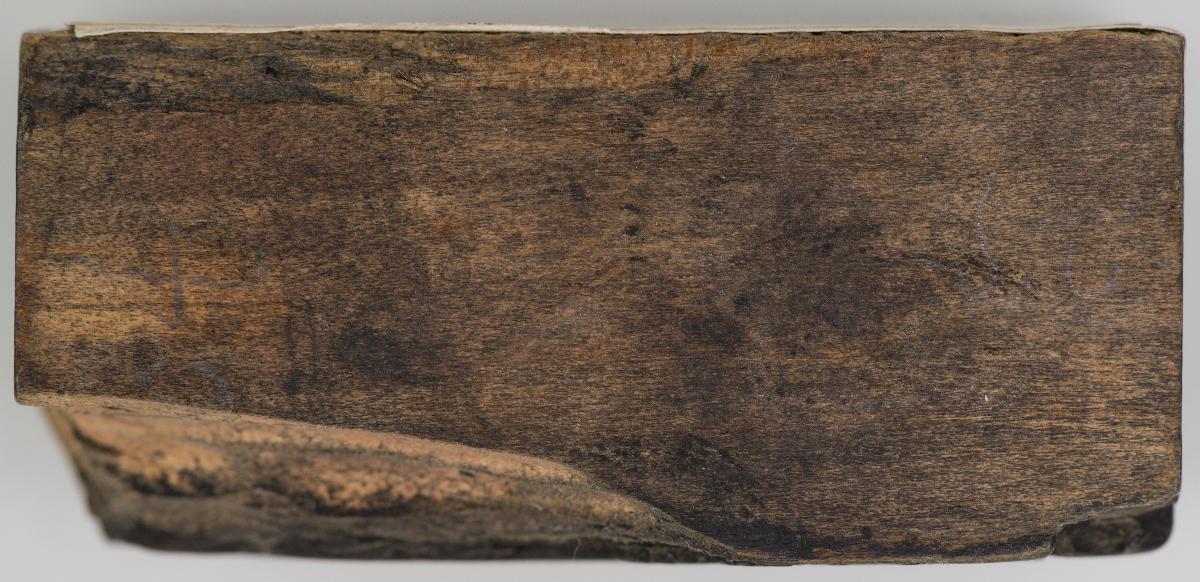 Heiligenbilder. Beschneidung / Geburt / Heimsuchung / Verkündigung / ? / ? / ? / ? / Papst Clemens / Fabian und hl. Sebastian / hl. Laurentius / Steinigung Stephan / Emerit /hl. Benedikt / hl Margarethe/hl Blasius?/hl Adalbert?/hl Martin/(Domrufer) / hl Valentin / ? / hl. Ambrosius / ? / ? / (24 Stöcke)