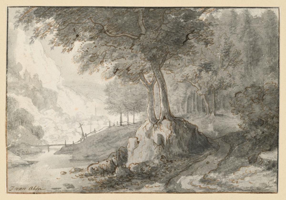 Waldlandschaft