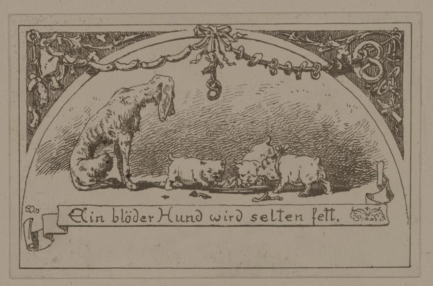 Ein blöder Hund wird selten fett.