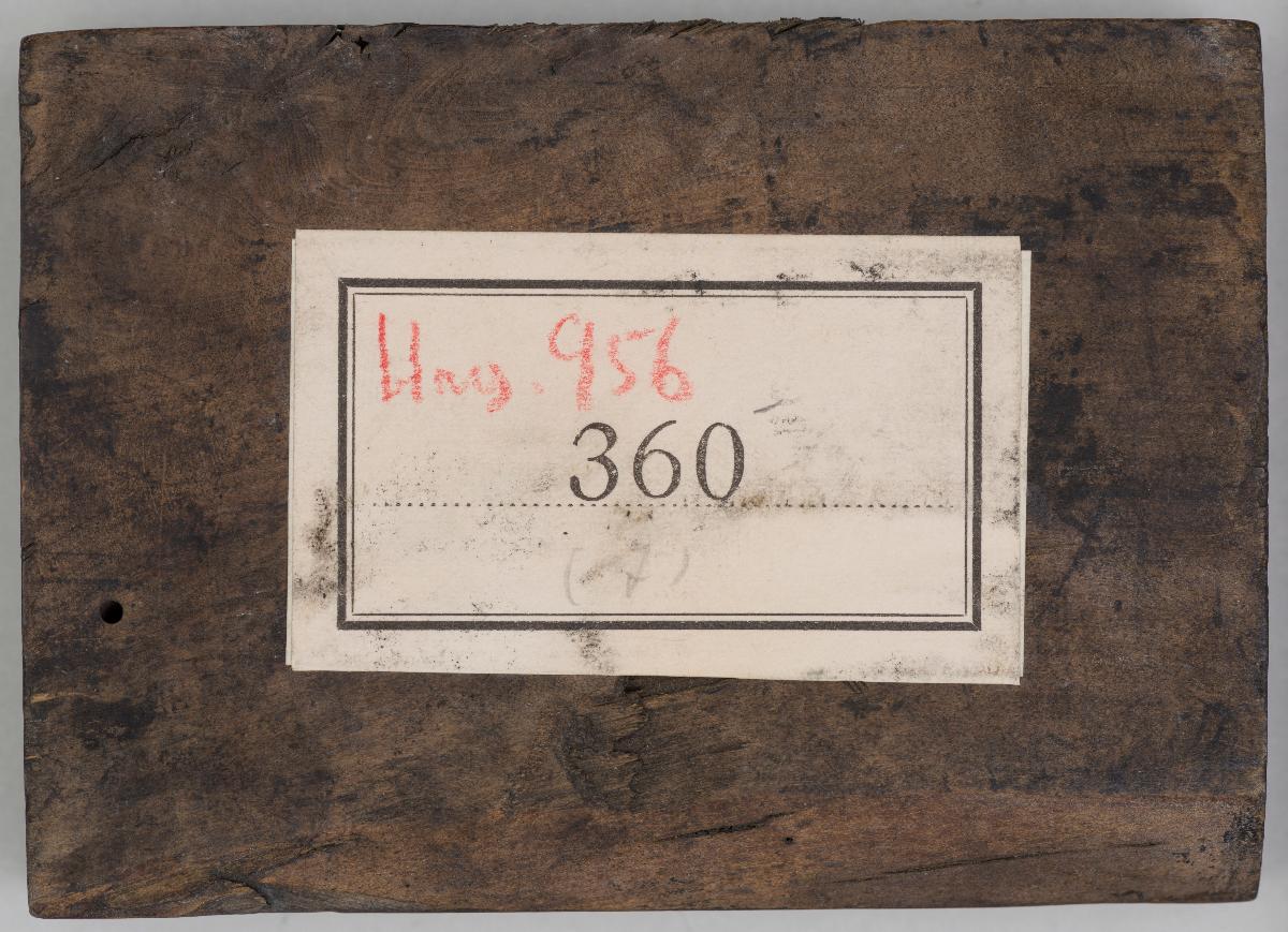 Biblische Szenen; (Eine davon zeigt Kaiser Max I., diese Horrak 752, Wolfgang von Maen, 360, 13; Eine weitere: Verrat des Judas von Maen, 360, 17. Vgl Burgkmair Kat. 1974)
(20 Stöcke)