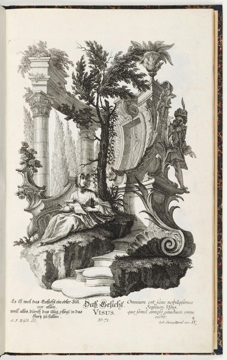Verl.-Nr. 71. 5 Blatt Muschelwerk mit Figuren: die fünf Sinne