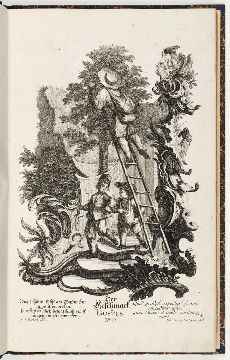 Verl.-Nr. 71. 5 Blatt Muschelwerk mit Figuren: die fünf Sinne
