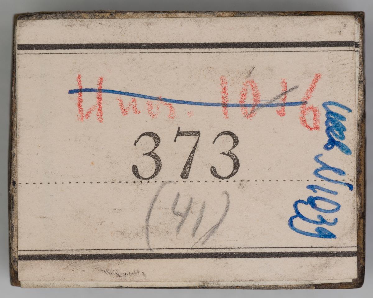 Heiligenbilder aus einem Kalender
(76 Stöcke)