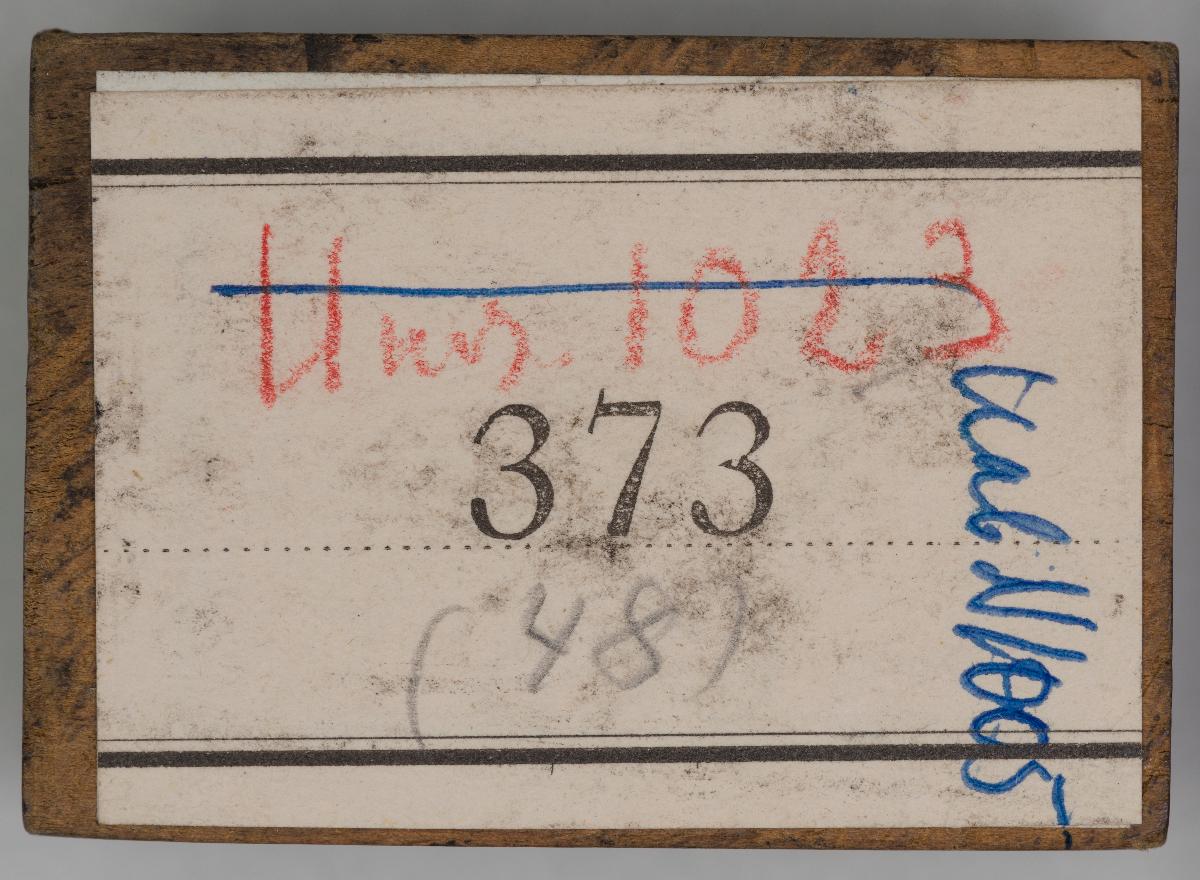 Heiligenbilder aus einem Kalender
(76 Stöcke)