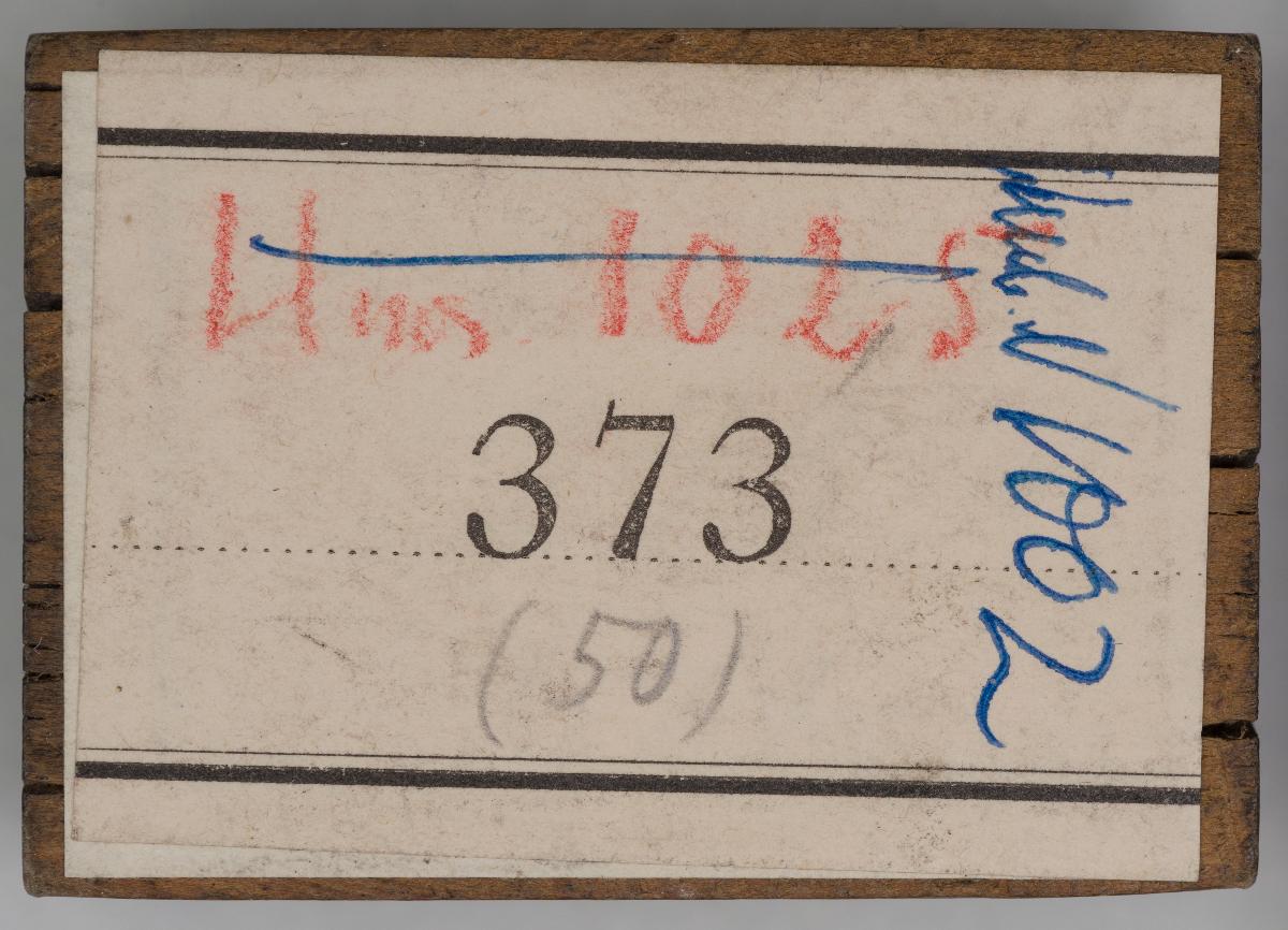Heiligenbilder aus einem Kalender
(76 Stöcke)