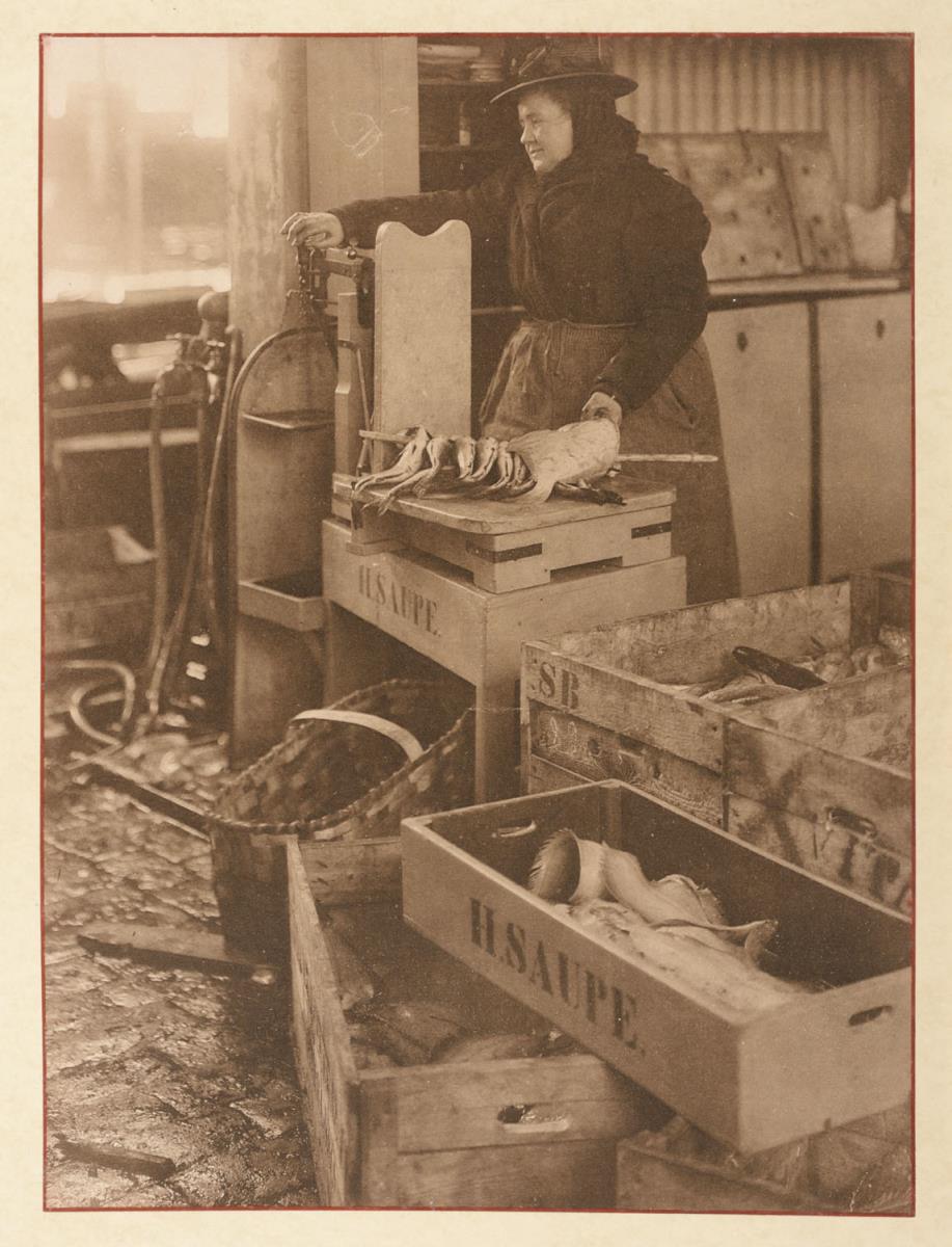In der Fischauktionshalle (aus dem Album "Hamburg: Land und Leute der Niederelbe")