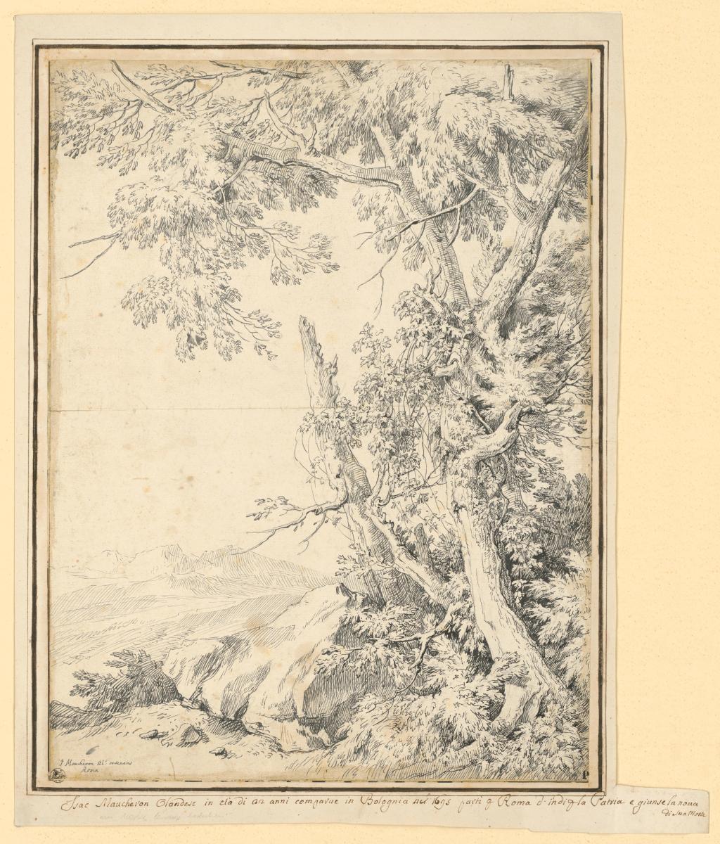Landschaft
