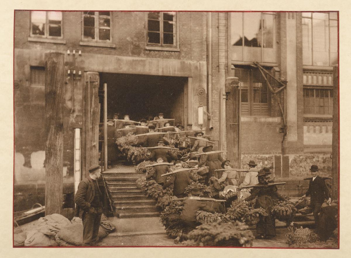 Ankommender Grünkohl für den Hopfenmarkt (aus dem Album "Hamburg: Land und Leute der Niederelbe")