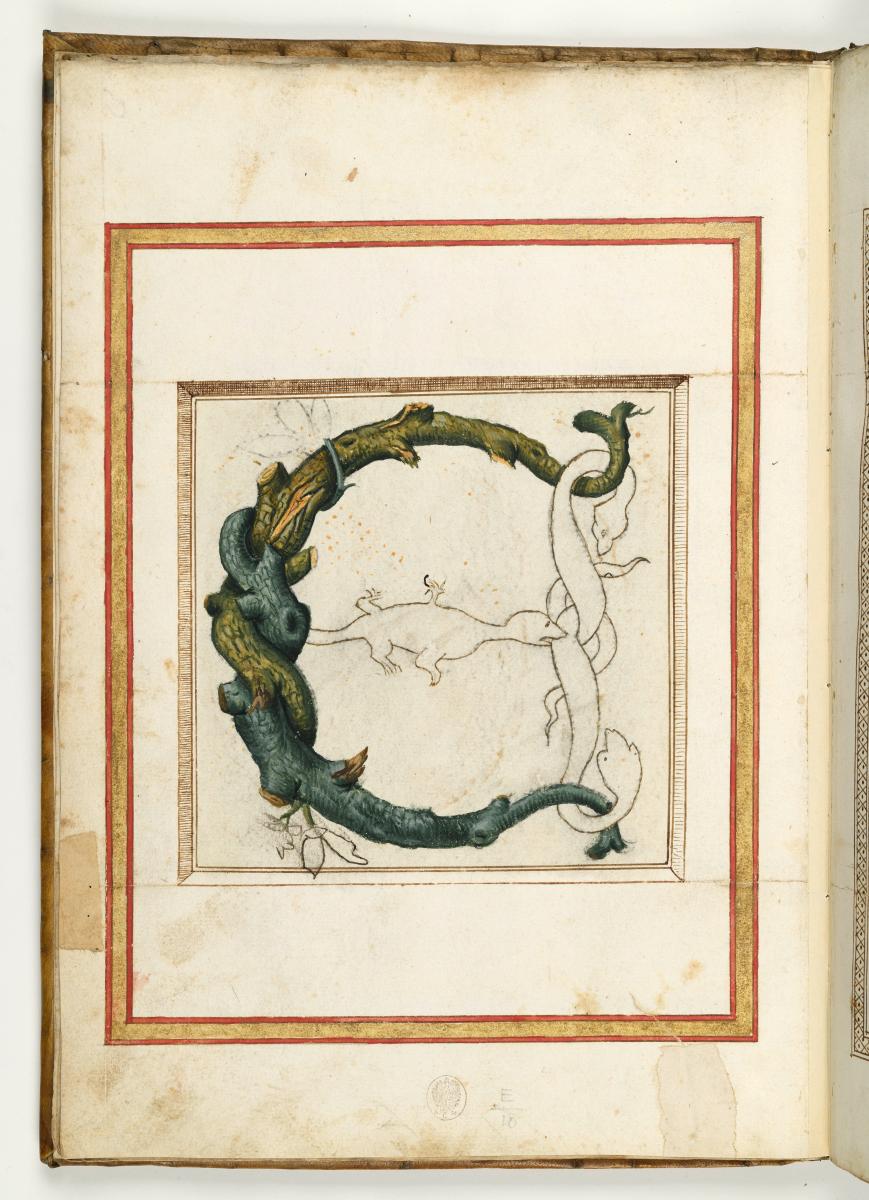 Zierbuchstabe E