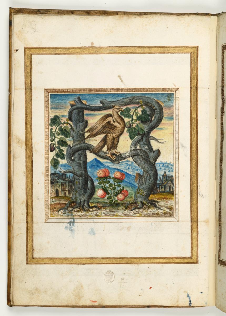 Zierbuchstabe F