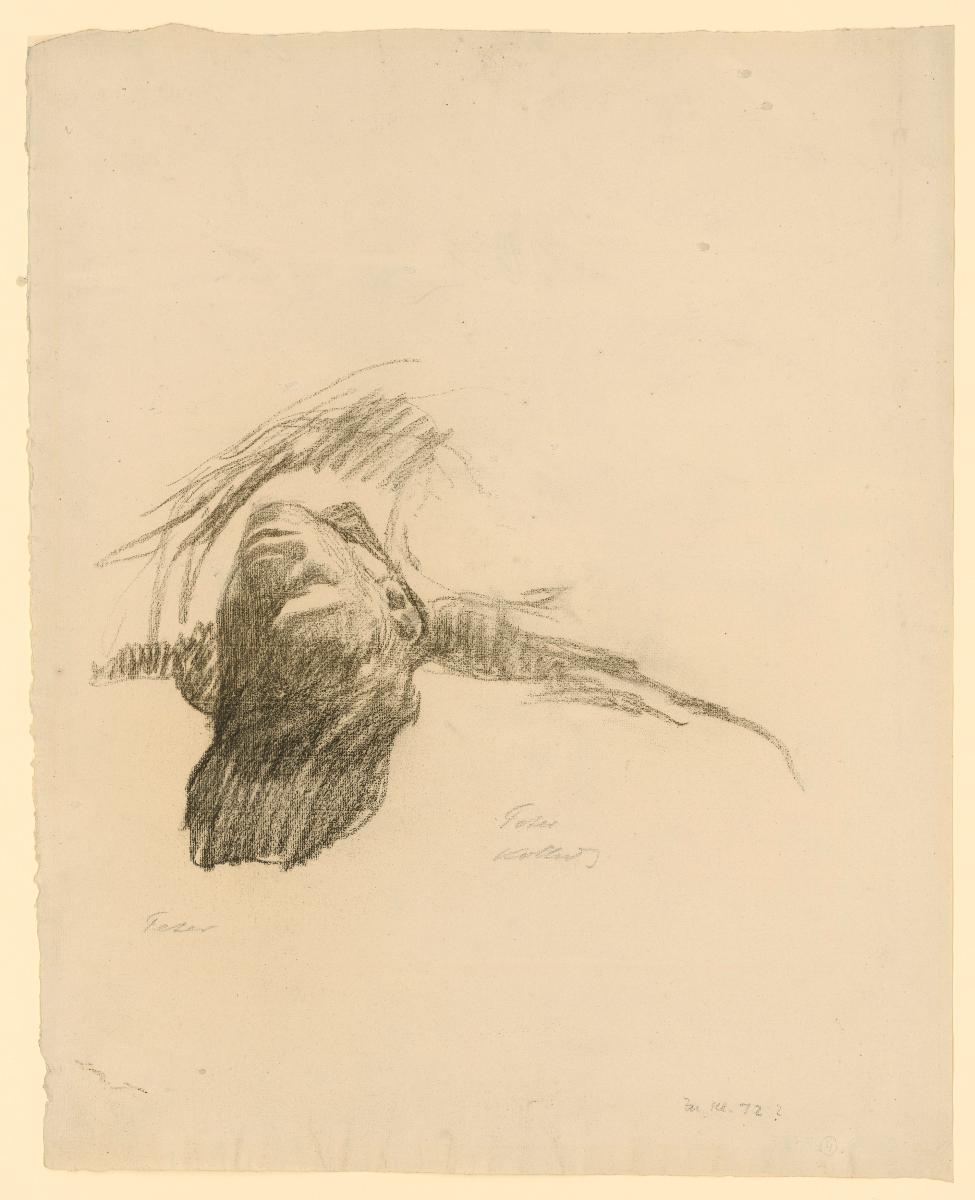 Toter Junge (Detailstudie zur Radierung "Schlachtfeld")