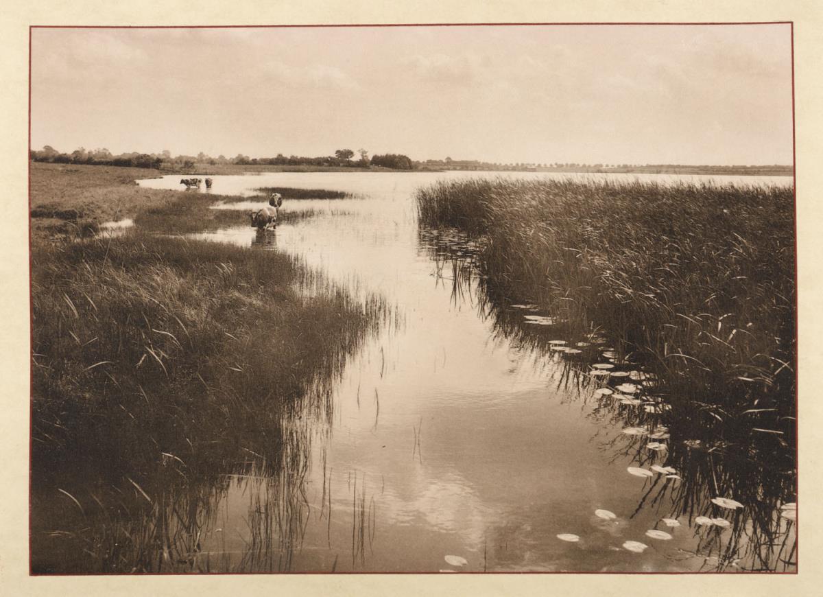 Idstedter See. Quelle der Rönne (aus dem Album "Hamburg: Land und Leute der Niederelbe")