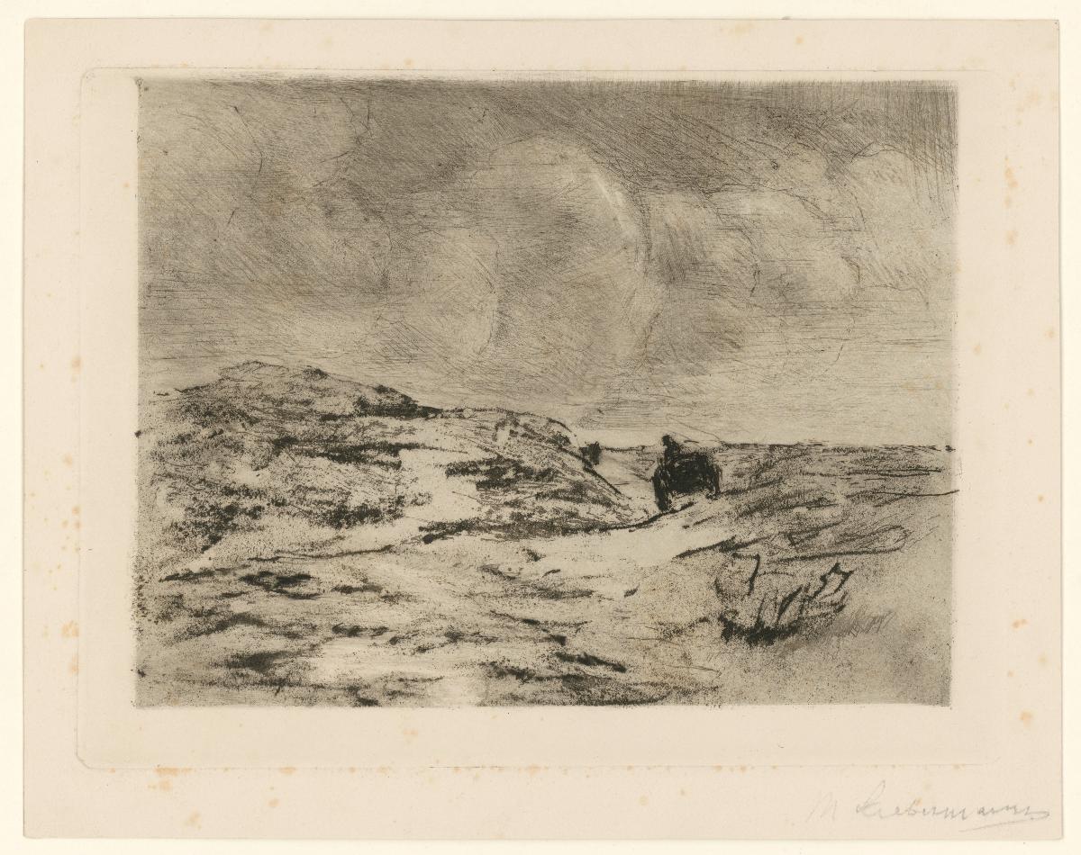 In den Dünen bei Katwijk