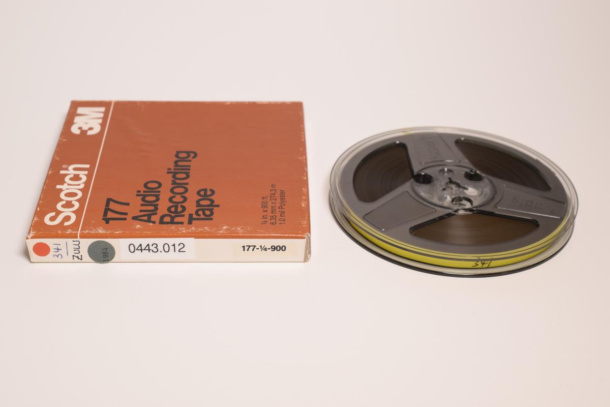 Erlmann Südafrika 1984