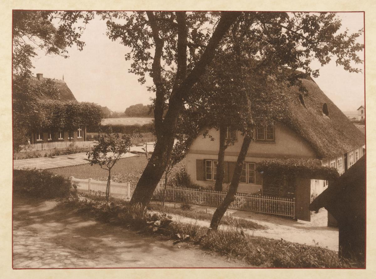 Moorfleth. Gemüsezucht (aus dem Album "Hamburg: Land und Leute der Niederelbe")