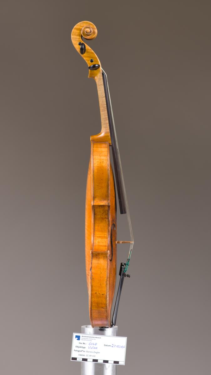 Violine