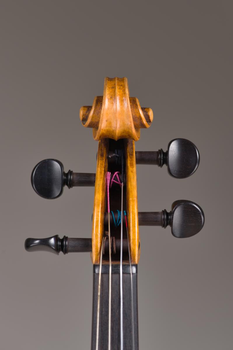 Violine
