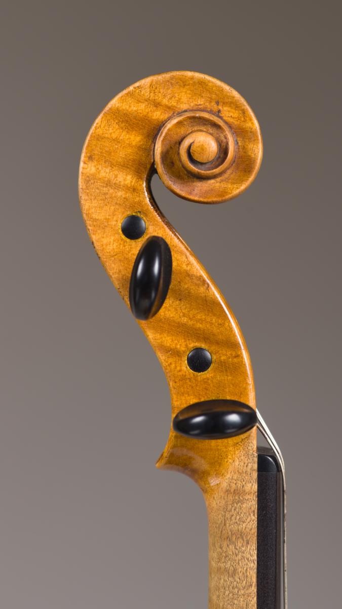 Violine